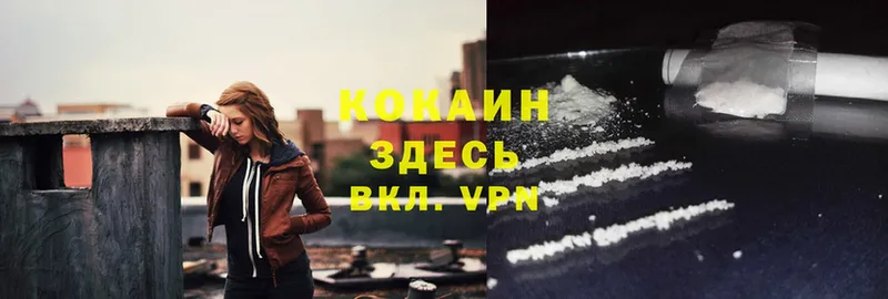 Cocaine FishScale  купить наркоту  Кировград 