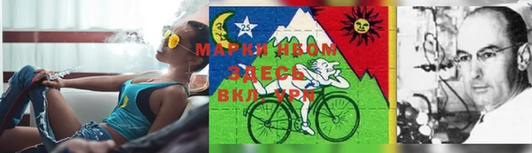 a pvp Осинники