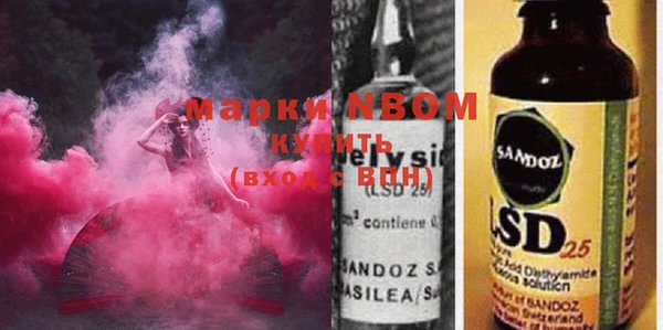 шишки Белокуриха